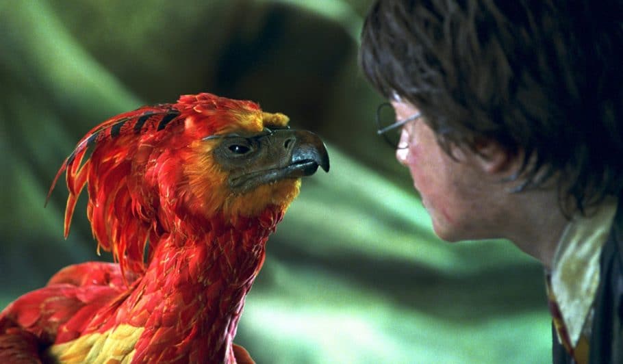 Quiz - Duvidamos que você lembre como se chamam estas criaturas do mundo de Harry Potter
