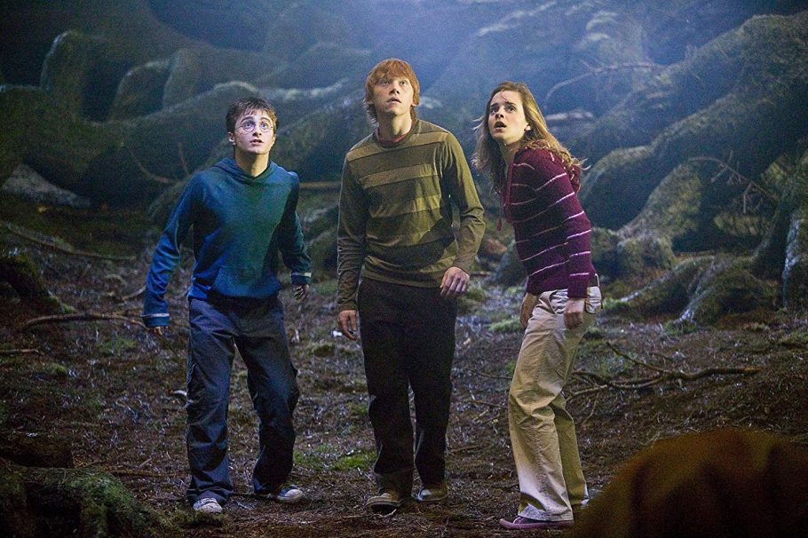 Confira o quiz de Verdadeiro ou Falso sobre os filmes de Harry Potter abaixo