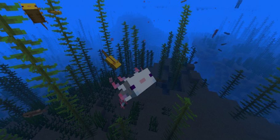 minecraft axolote