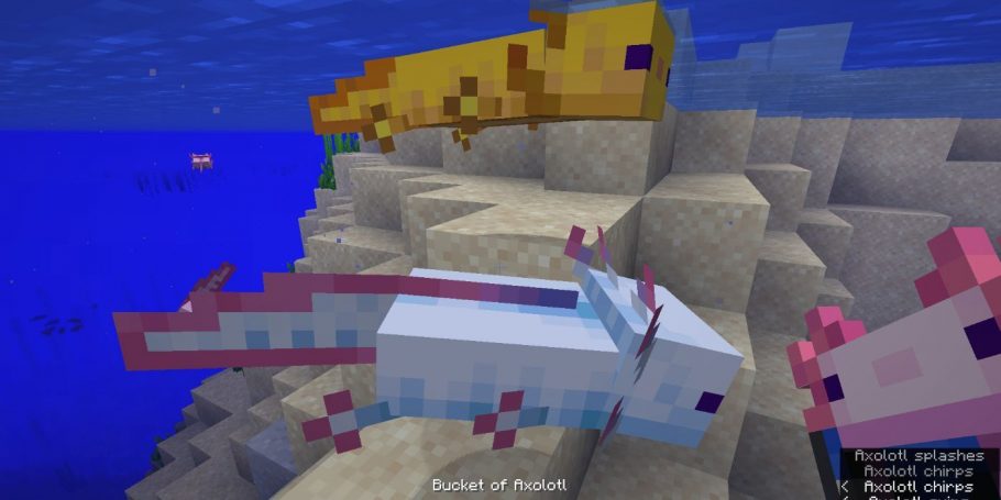 minecraft axolote