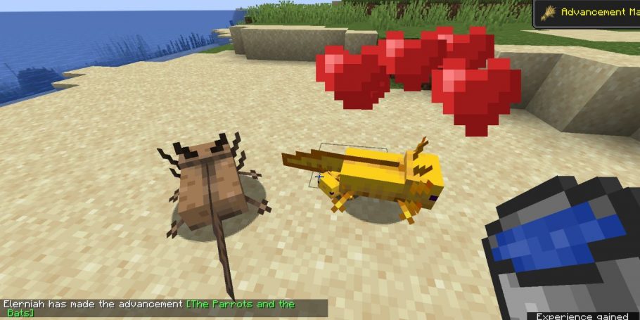 Axolote, bicho do jogo 'Minecraft' é o novo morador do Zoológico de SP, Comportamento