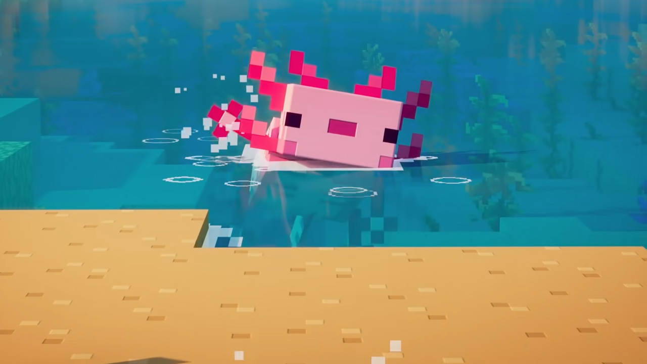 Axolote, bicho do jogo 'Minecraft' é o novo morador do Zoológico de SP, Comportamento