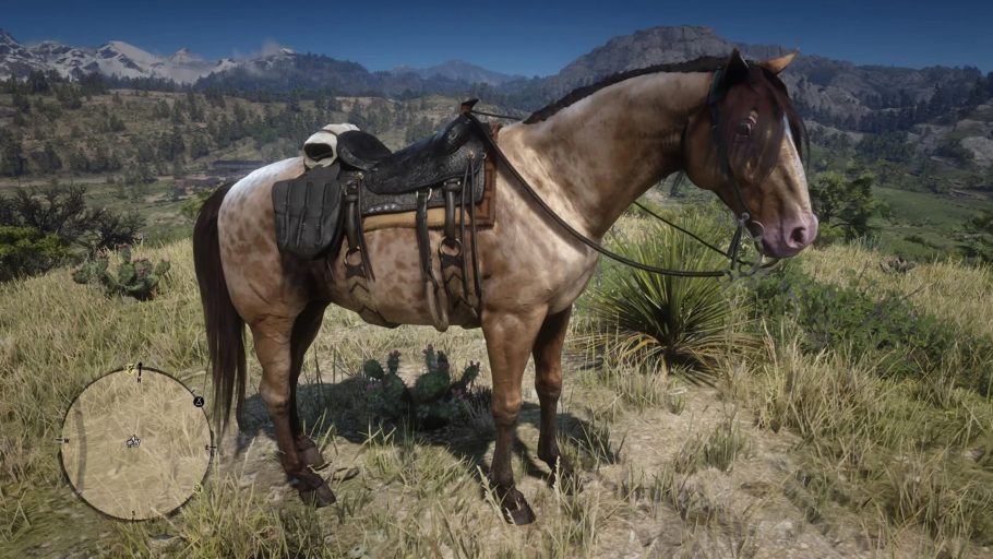 Domei um dos CAVALOS MAIS RAROS DO JOGO - O Domador de Cavalos - Red Dead  Redemption 2 