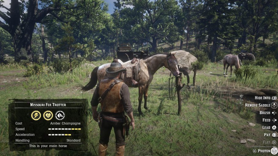 red dead redemption 2 missouri fox trotter