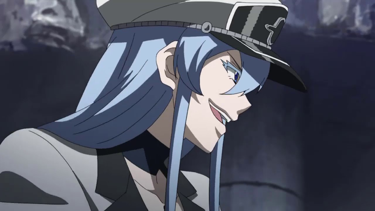 Resenha - Akame ga KILL!