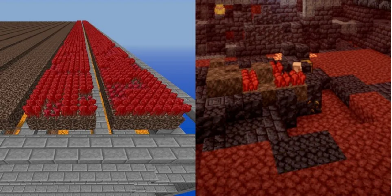 Minecraft - Como plantar e cultivar Fungo do Nether - Critical Hits