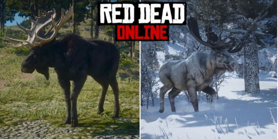 Red Dead Online Alces