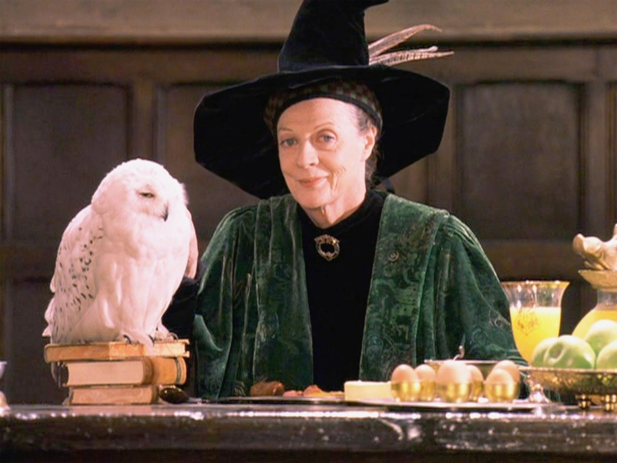 Fatos que você provavelmente não sabia sobre Minerva McGonagall de Harry Potter