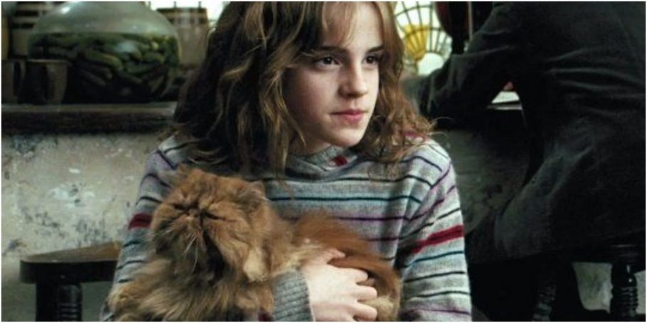 Harry Potter – As 10 Melhores Frases de Ron Weasley - Critical Hits