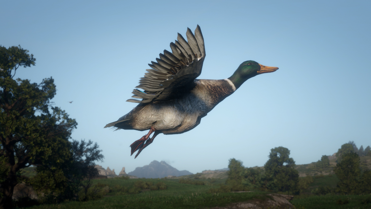 red dead online pato