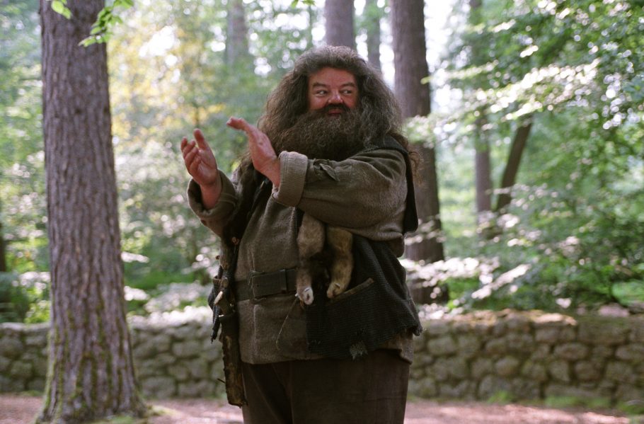 Confira o quiz sobre o bruxo Rúbeo Hagrid de Harry Potter abaixo
