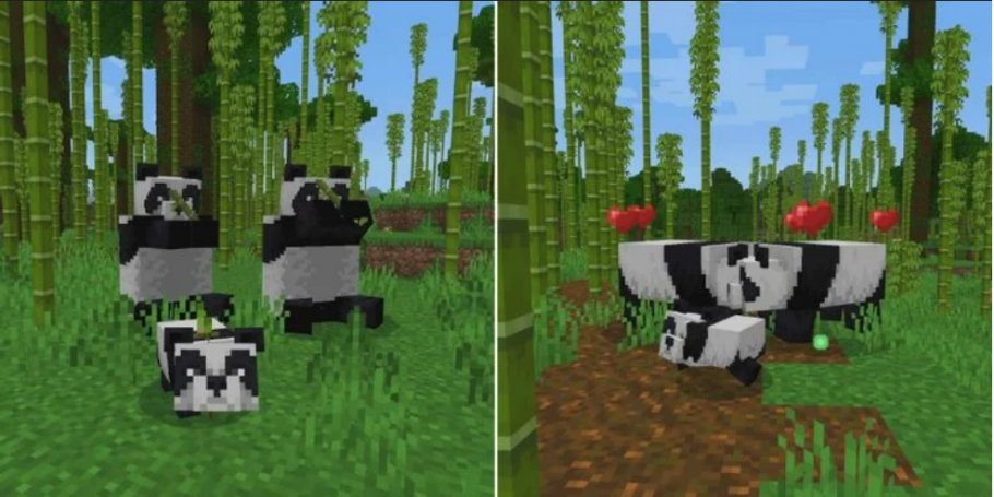 Minecraft procriar pandas