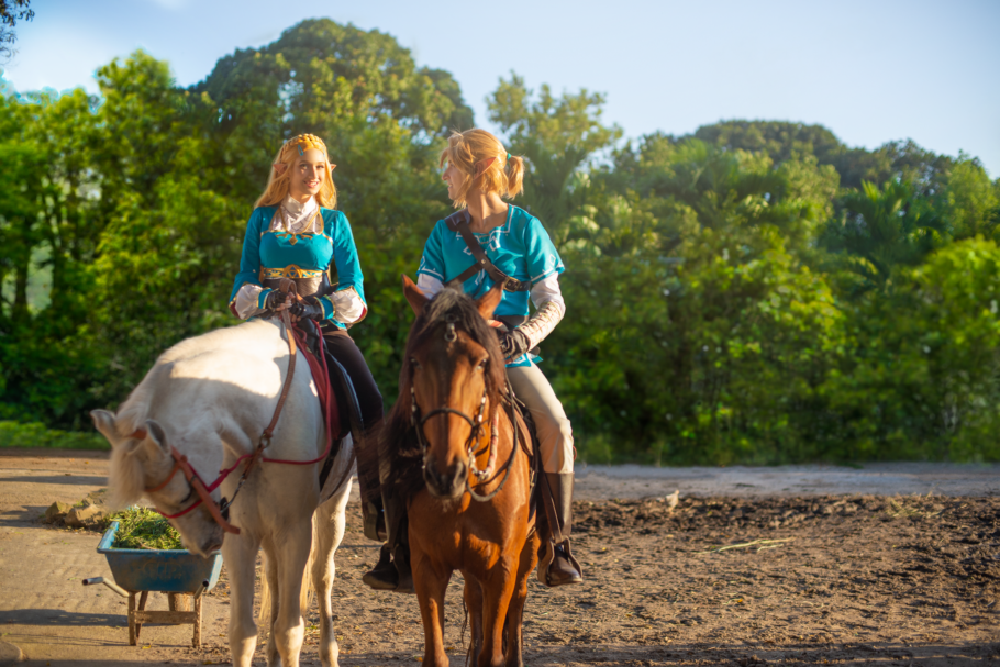 Valentine's Day - Confira este lindo cosplay em conjunto do Link e Zelda feitos pelo 