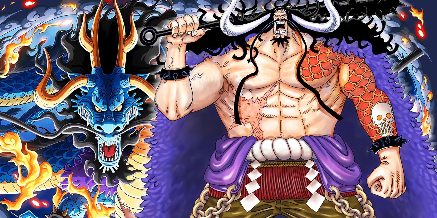 Afinal, a Akuma no Mi do Kaido já despertou em One Piece