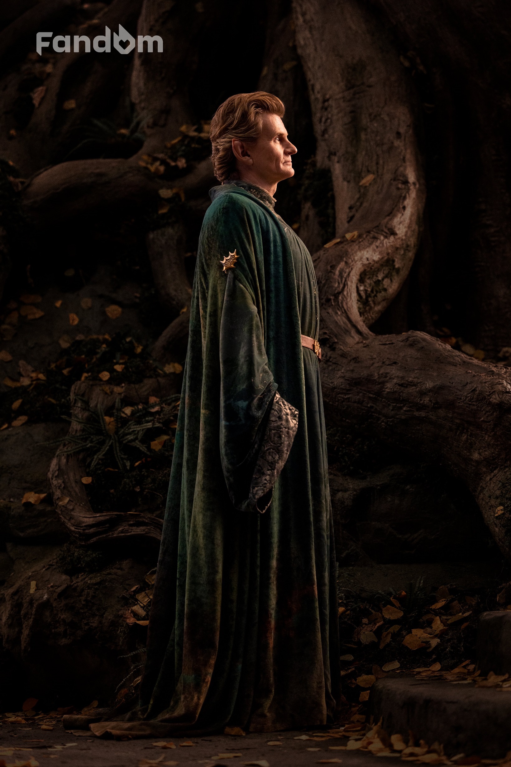 Novas imagens de O Senhor dos Anéis: Os Anéis de Poder destacam Celebrimbor e Elrond