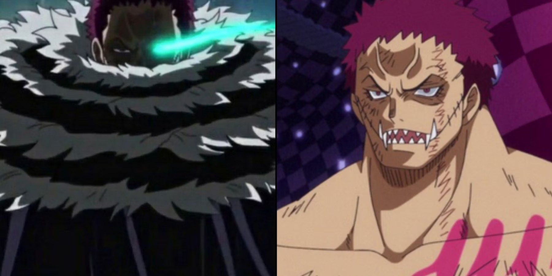 Katakuri  Você é especial, Educação especial