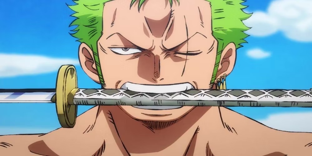 A maior recompensa do bando#onepiece#zoro#anime#zorororonoa 