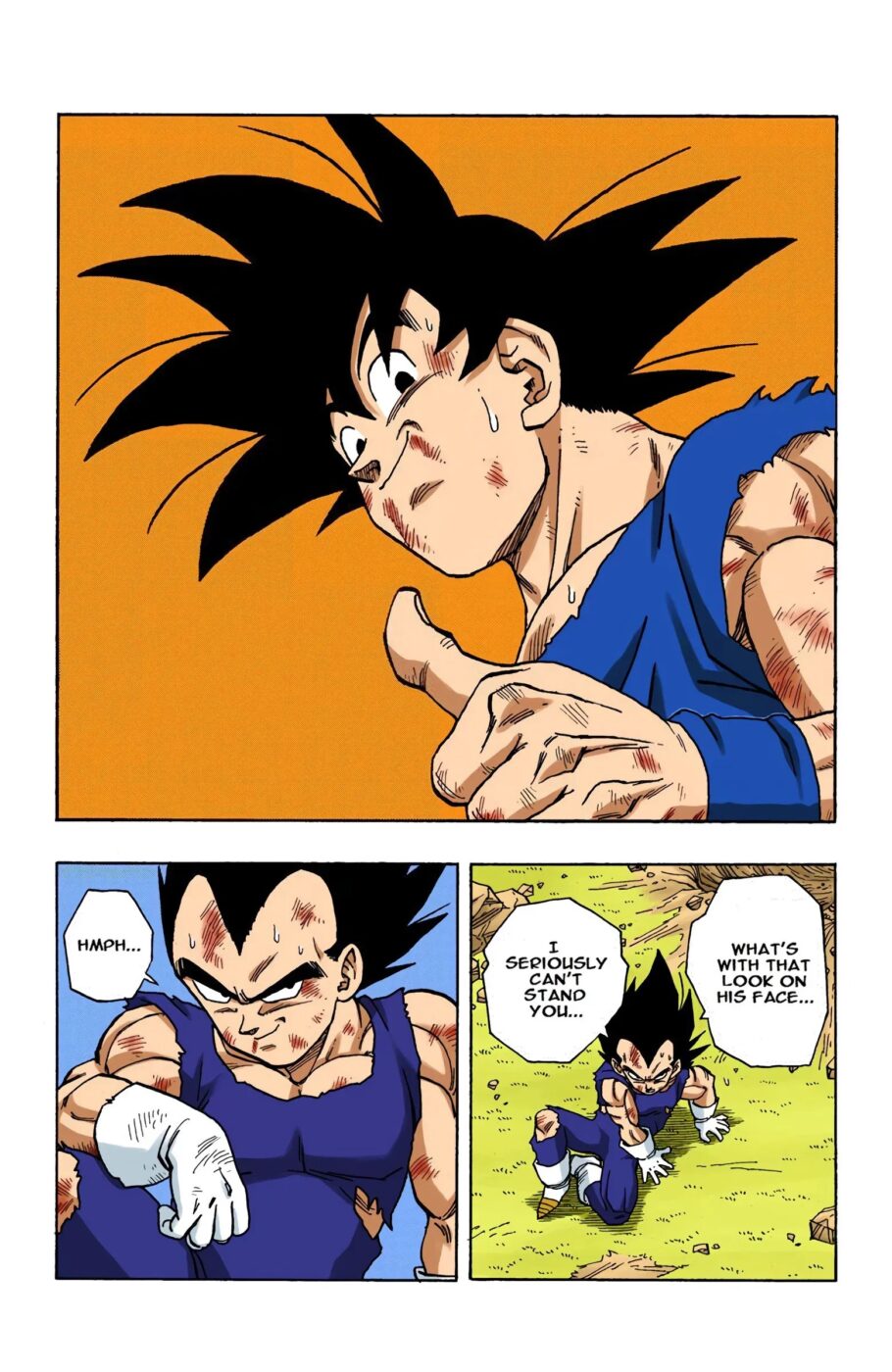 Mangá de Dragon Ball Super revela o jeito surpreendente como Goku e Vegeta  adotaram o símbolo do Whis nas roupas dele - Critical Hits