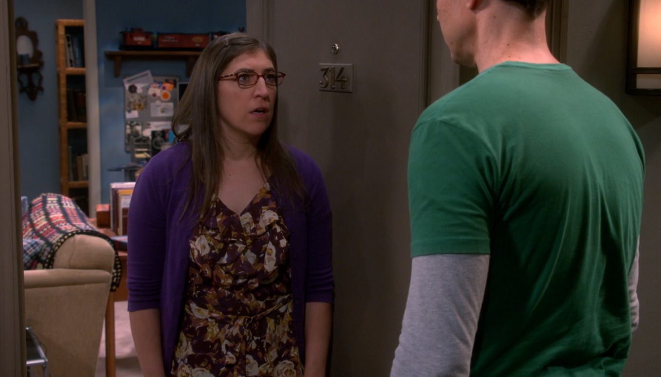 The Big Bang Theory - Em qual episódio Sheldon e Amy voltam?