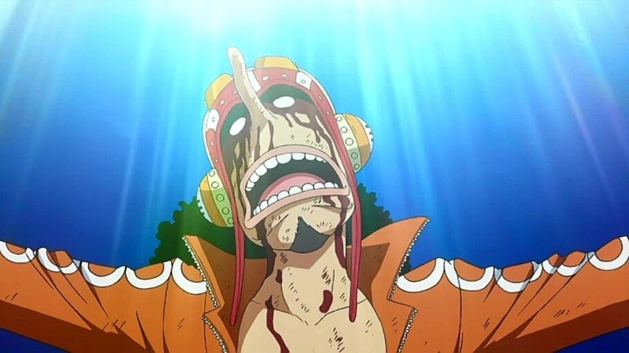 Os personagens de One Piece