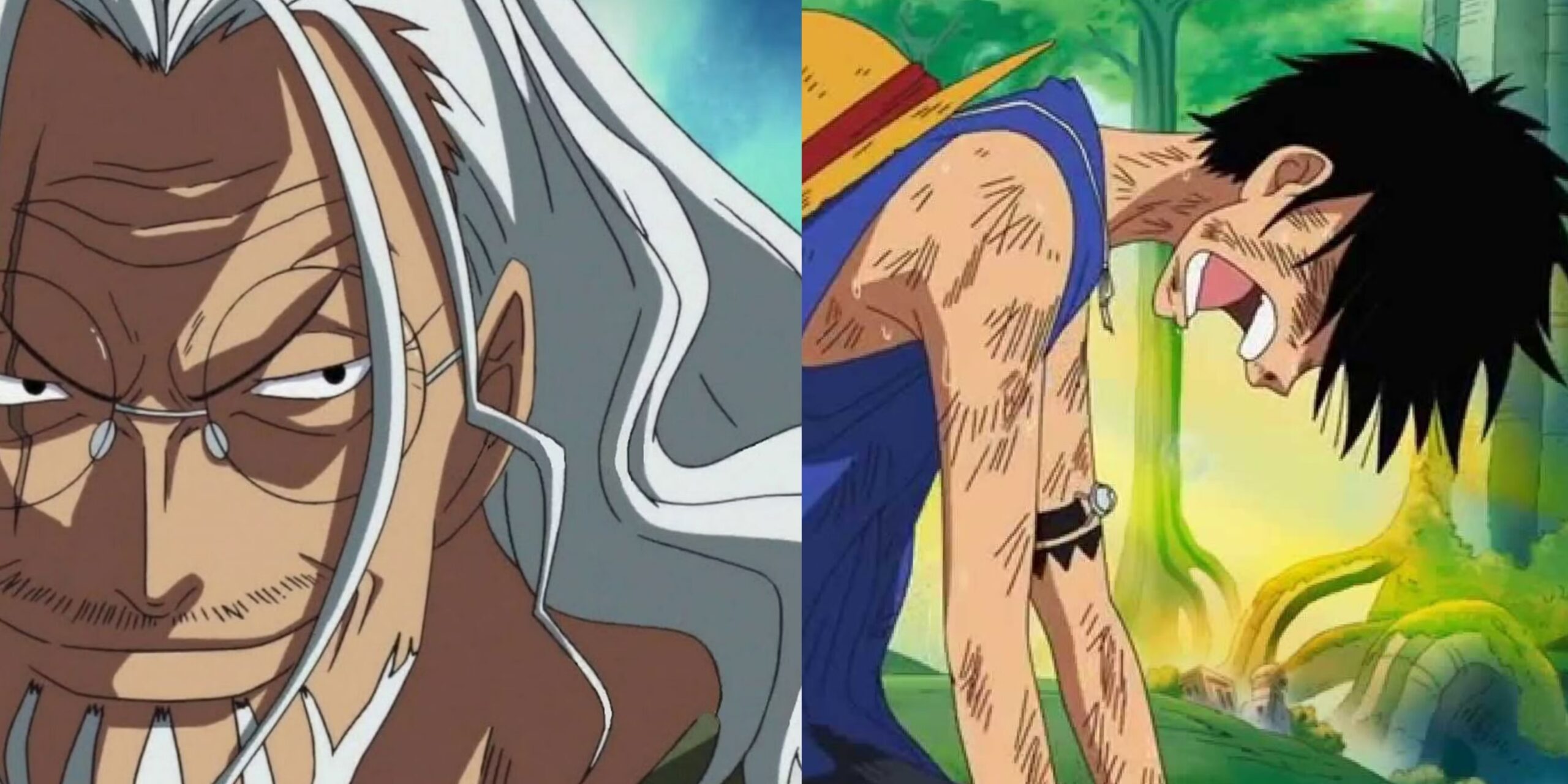 Somente fãs de One Piece vão fazer o quiz e descobrir qual dos Piratas do  Chapéu de Palha de One Piece você seria - Critical Hits