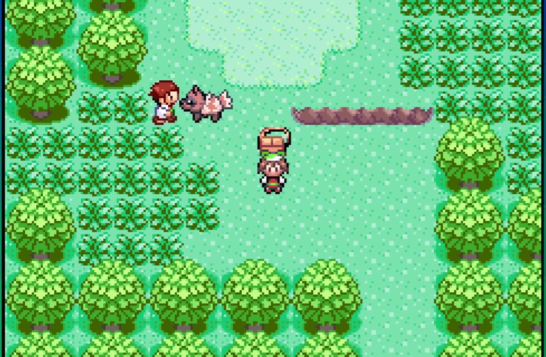 Pokémon EMERALD mas SÓ posso usar tipo GRAMA! 🍃 