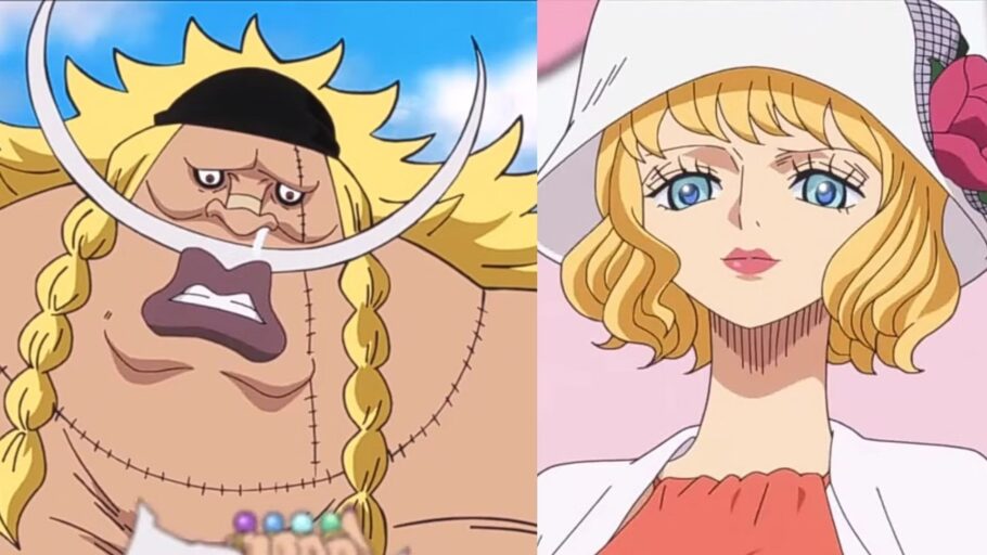 Teoria de One Piece revela a verdadeira identidade Miss Bakkin e