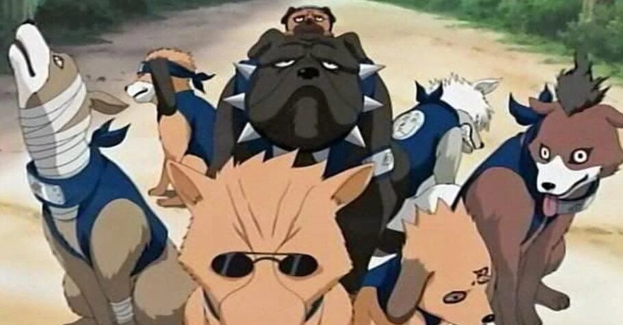 Estes são os nomes e habilidades dos cachorros ninja de Kakashi em Naruto Shippuden