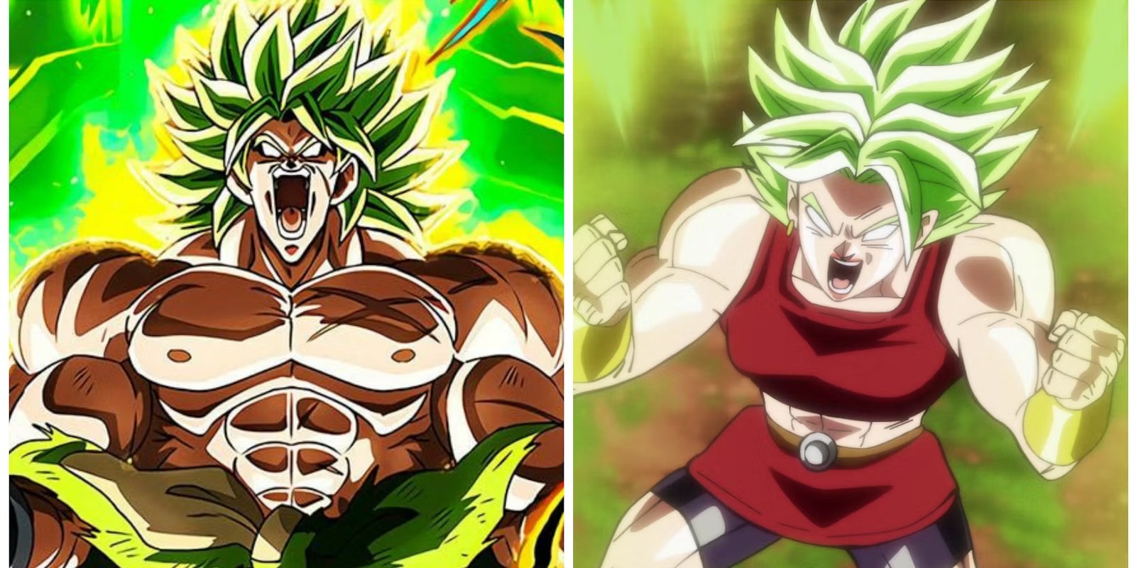 Dragon Ball Z 8: Broly, o Lendário Super Saiyajin - 6 de Março de