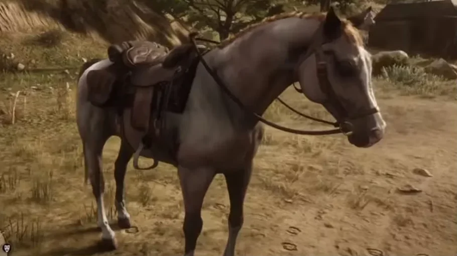 O DOMADOR DE CAVALOS - Em busca do CAVALO DA NEVE, o melhor cavalo do jogo  - Red Dead Redemption 2 