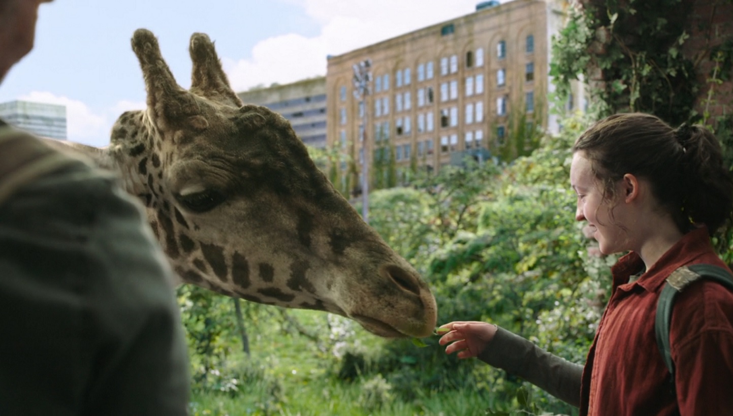 The Last of Us - Qual a importância e o significado da cena das girafas?