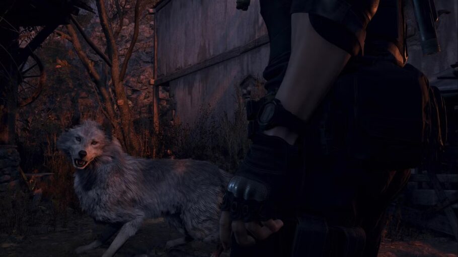 Resident Evil 4 Remake - Como salvar o Cachorro