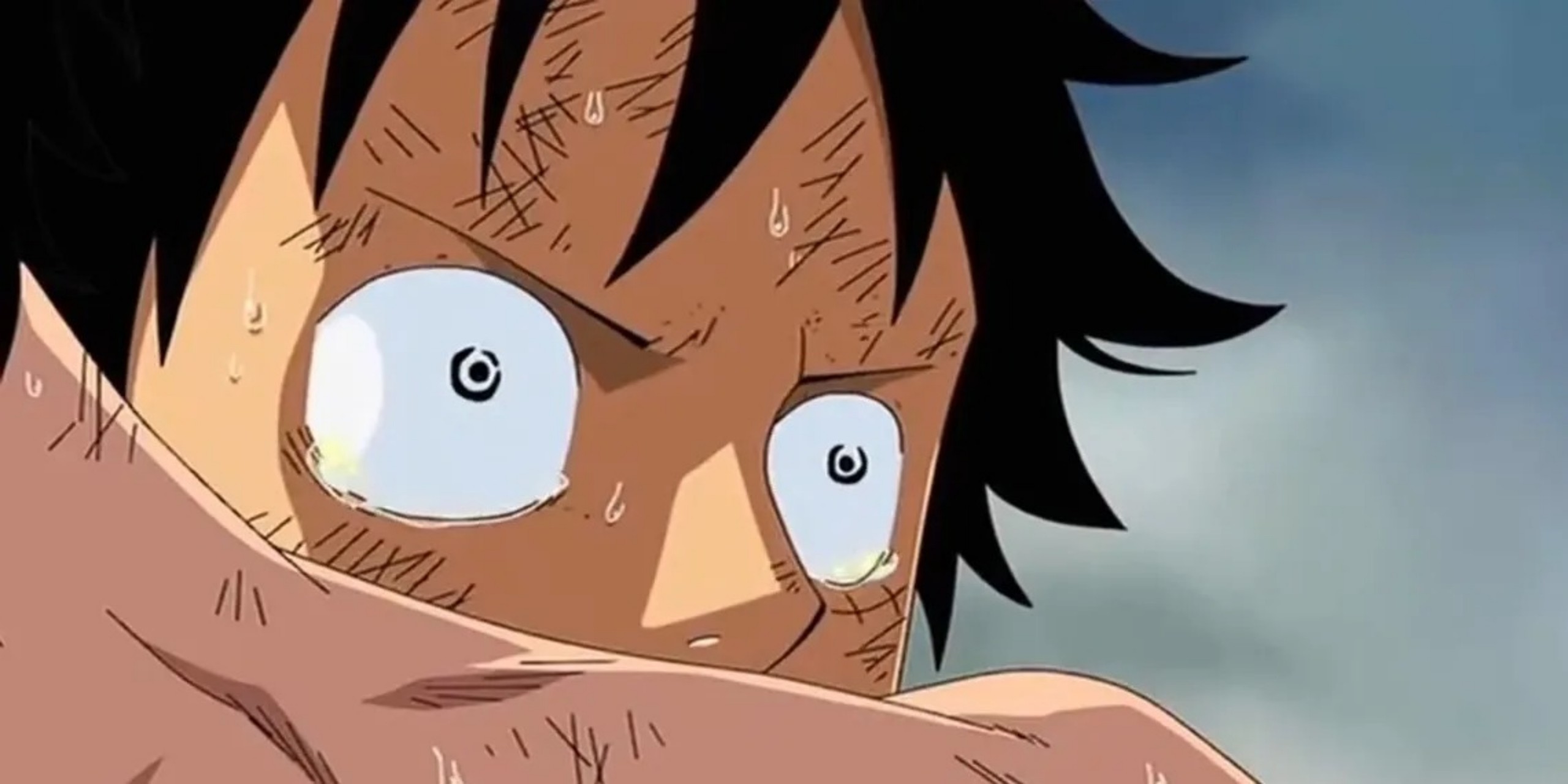 ODA JÁ VAI REVELAR O QUE É O ONE PIECE!? NOVA TRADUÇÃO REVELA O QUE ELE  REALMENTE QUIS DIZER!!! 