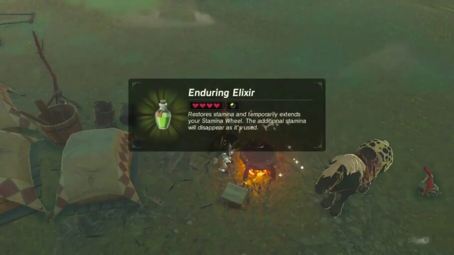 Zelda BOTW Elixir
