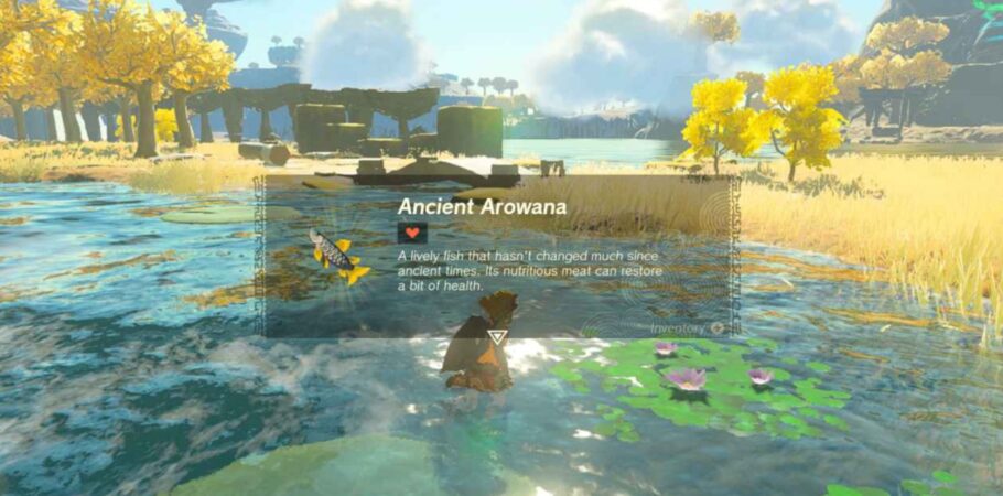Zelda: Tears of the Kingdom - Onde encontrar o peixe Ancient Arowana