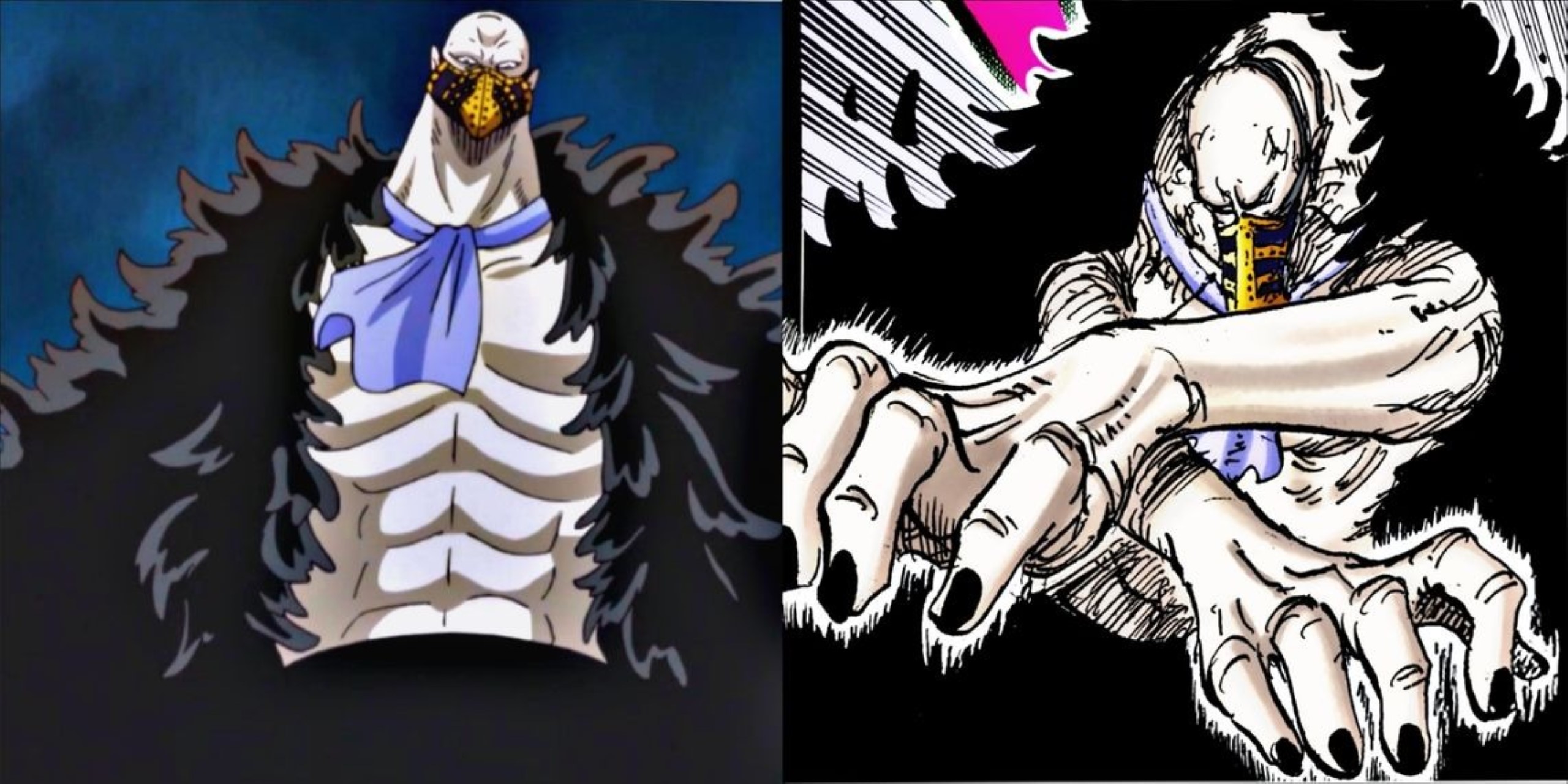 Entenda como funciona a Susu Susu no Mi do Karasu em One Piece ...