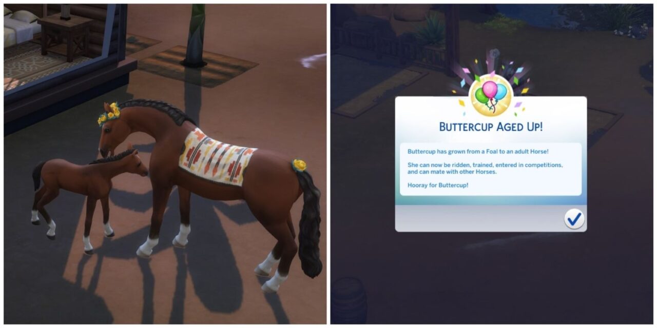 The Sims 4 - Como envelhecer um cavalo - Critical Hits