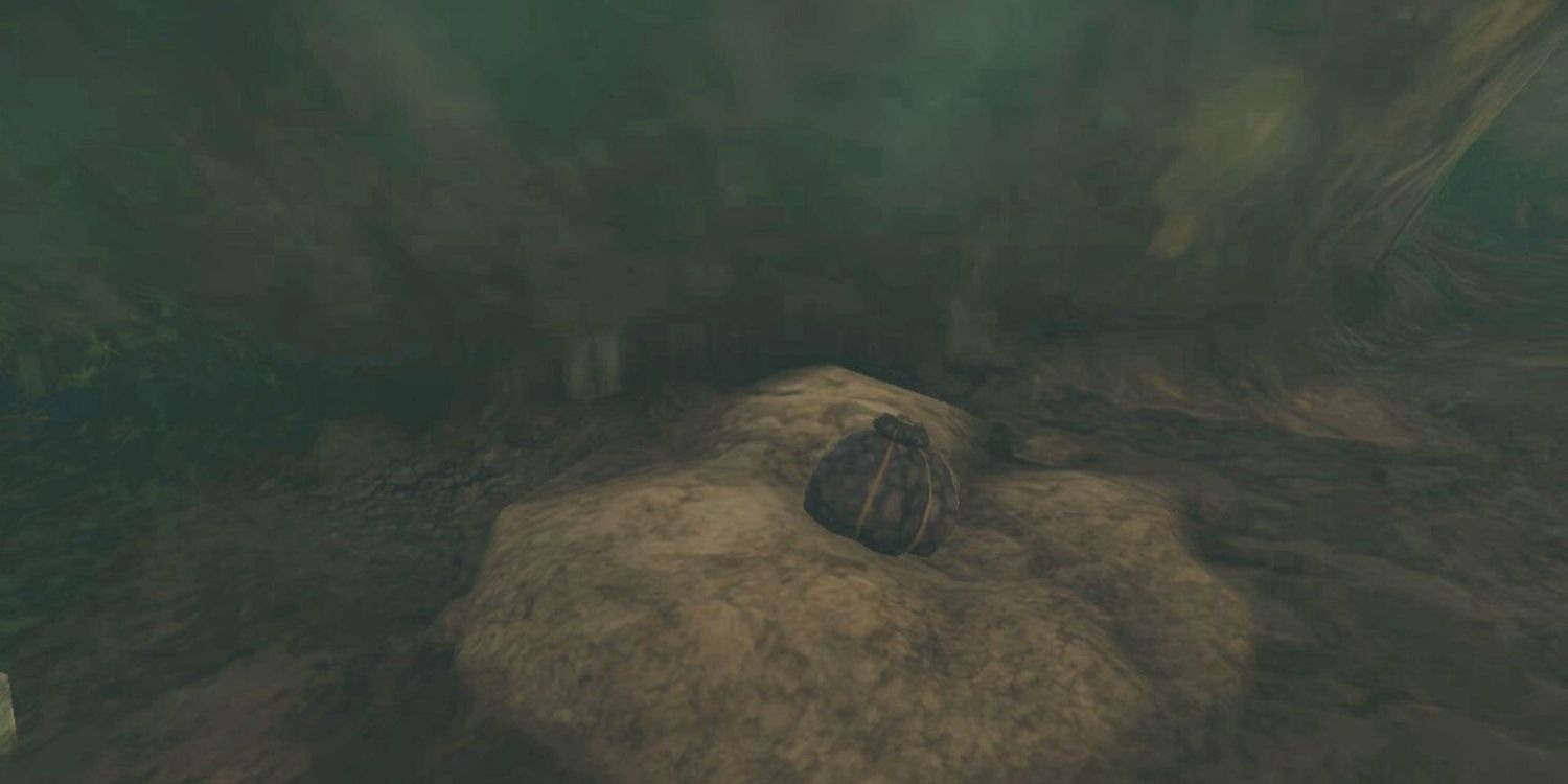 Zelda Tears of the Kingdom Onde encontrar Hearty Truffles Critical Hits