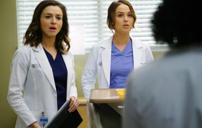 Quiz - Você consegue dizer se essas afirmações sobre a 12ª temporada de Grey's Anatomy são verdadeiras?