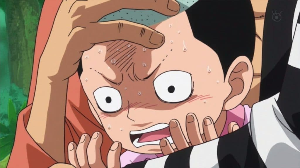 A verdadeira força de Kozuki Momonosuke em One Piece