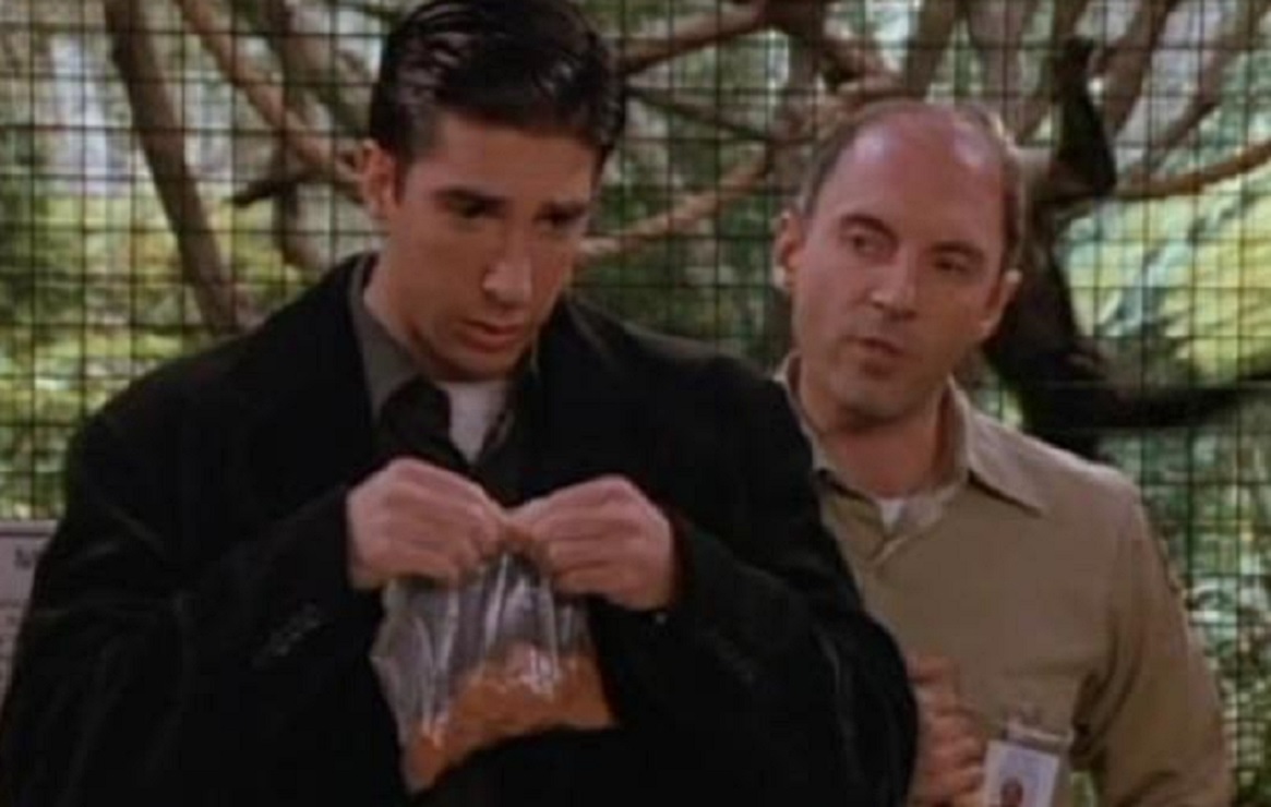 Em qual episódio Dan Castellaneta aparece em Friends?