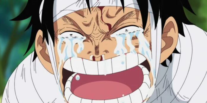 Anime de One Piece entrará em pequeno hiato