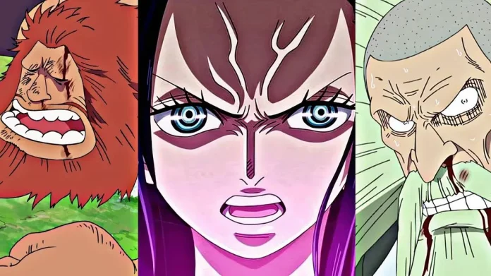 Afinal, Nico Robin é um membro da família D. em One Piece?