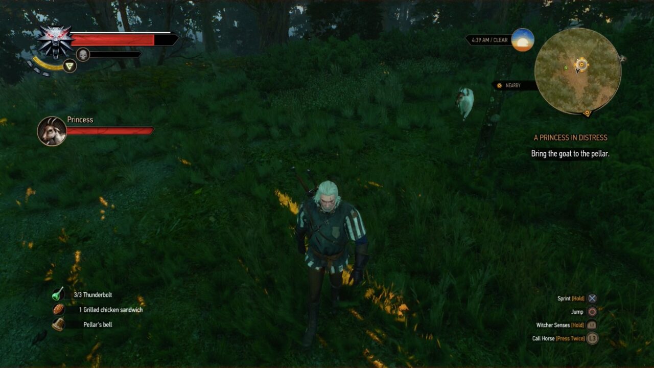 The Witcher 3 - A Princesa em Perigo