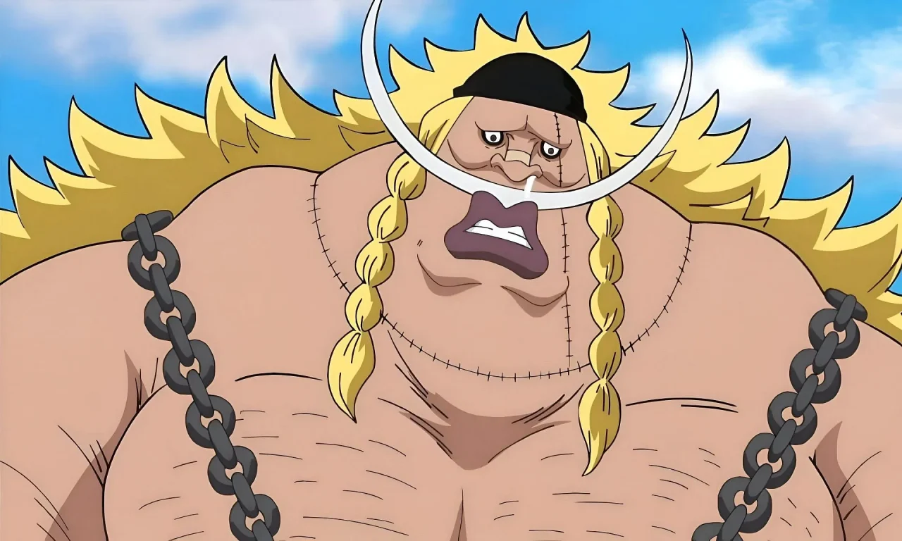 Último Vivre Card de One Piece praticamente confirma quem é o pai de Franky