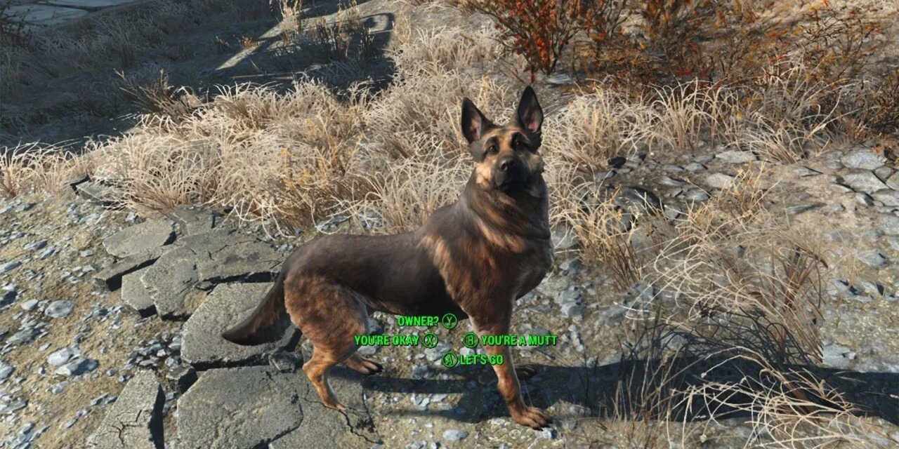 Como recrutar o cachorro em Fallout 4 (Dogmeat)