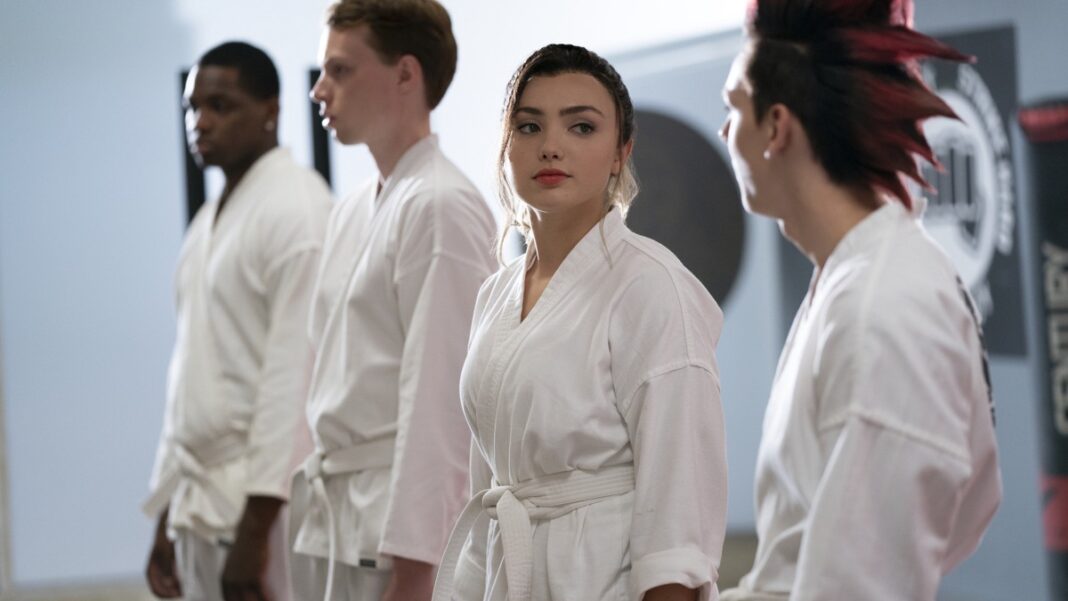 Resumo da 3ª temporada de Cobra