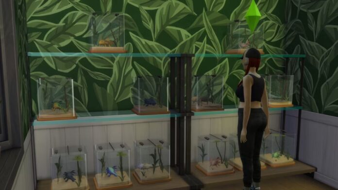 The Sims 4 Paixão à Vista - Como completar a coleção de Axolotes