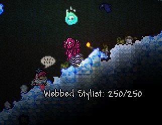 estilista terraria