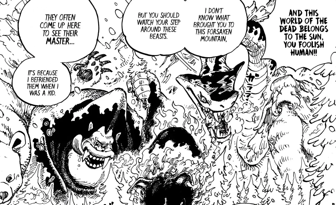 As histórias de Loki e Hajrudin em One Piece podem ser mais profundas do que os fãs imaginam